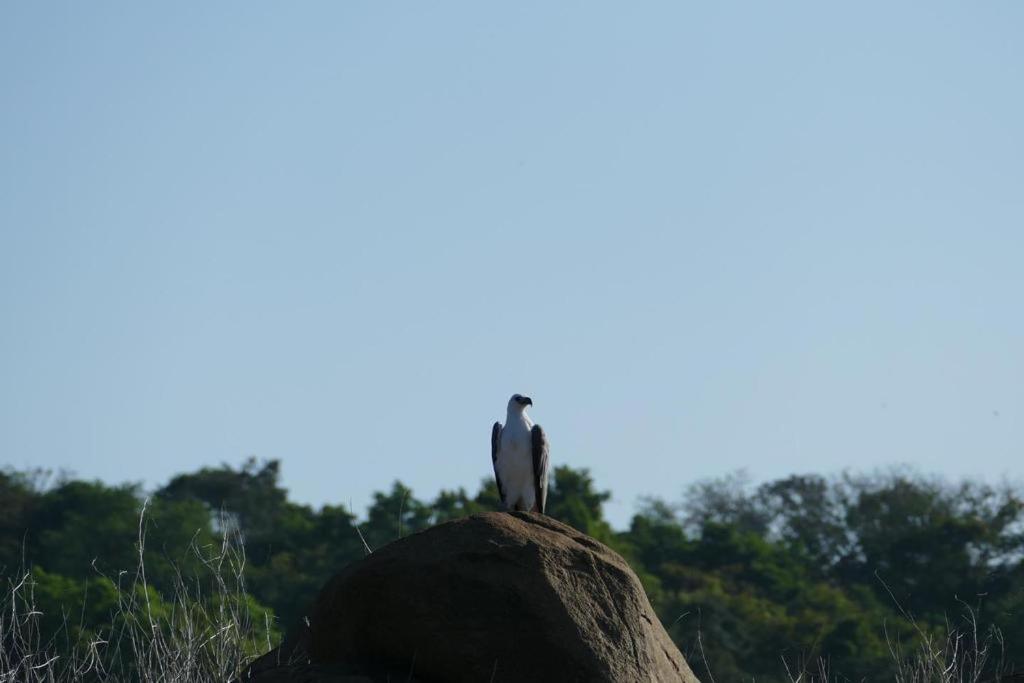 Gal Oya Lake View Inginiyagala Polwatta Exterior photo
