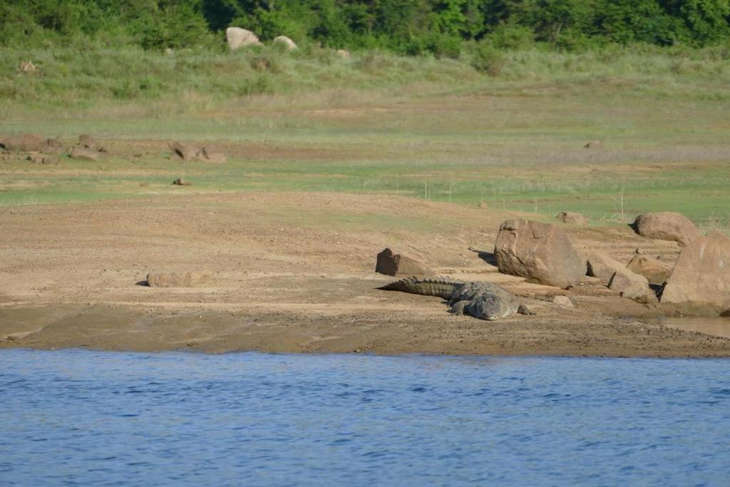 Gal Oya Lake View Inginiyagala Polwatta Exterior photo